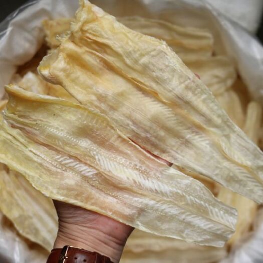 广州大鱼翅边 金勾鱼翅边 鱼翅肉片 鱼唇块牙唇胶专用补钙一件代发