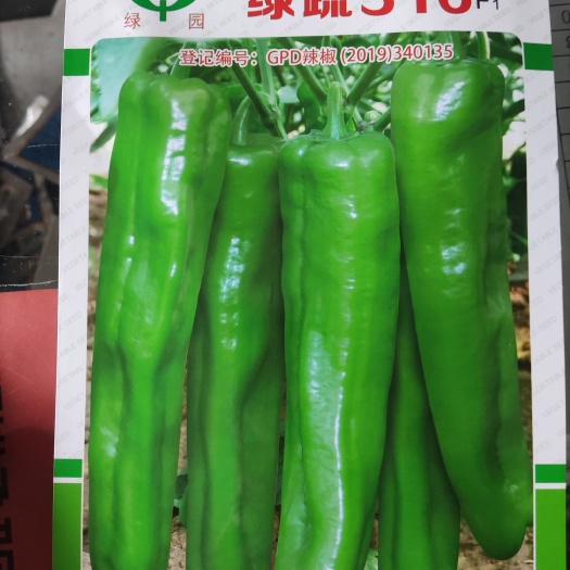 简阳市菜椒种子