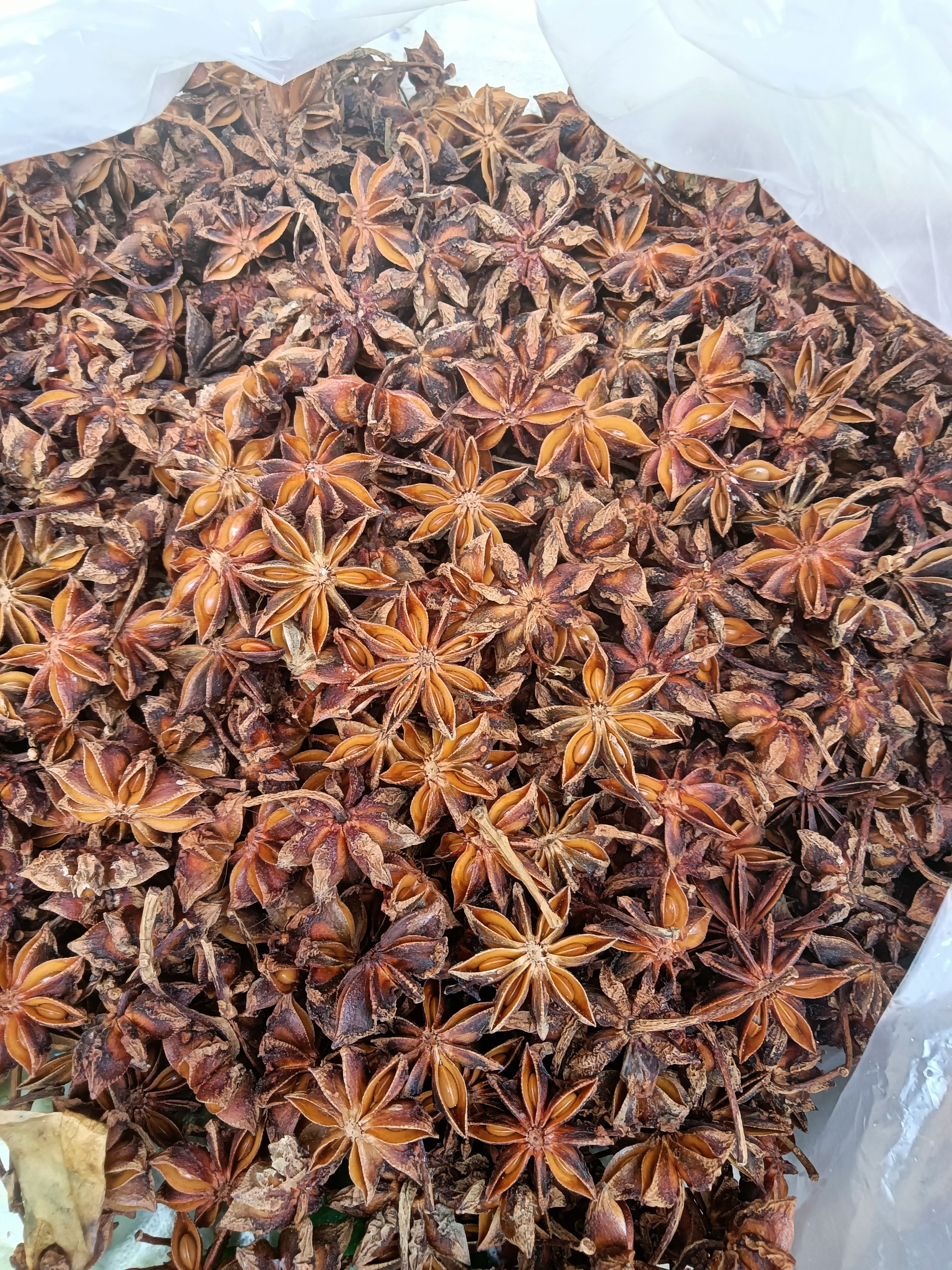 富宁县春花大红八角全干，五硫磺，质量保证