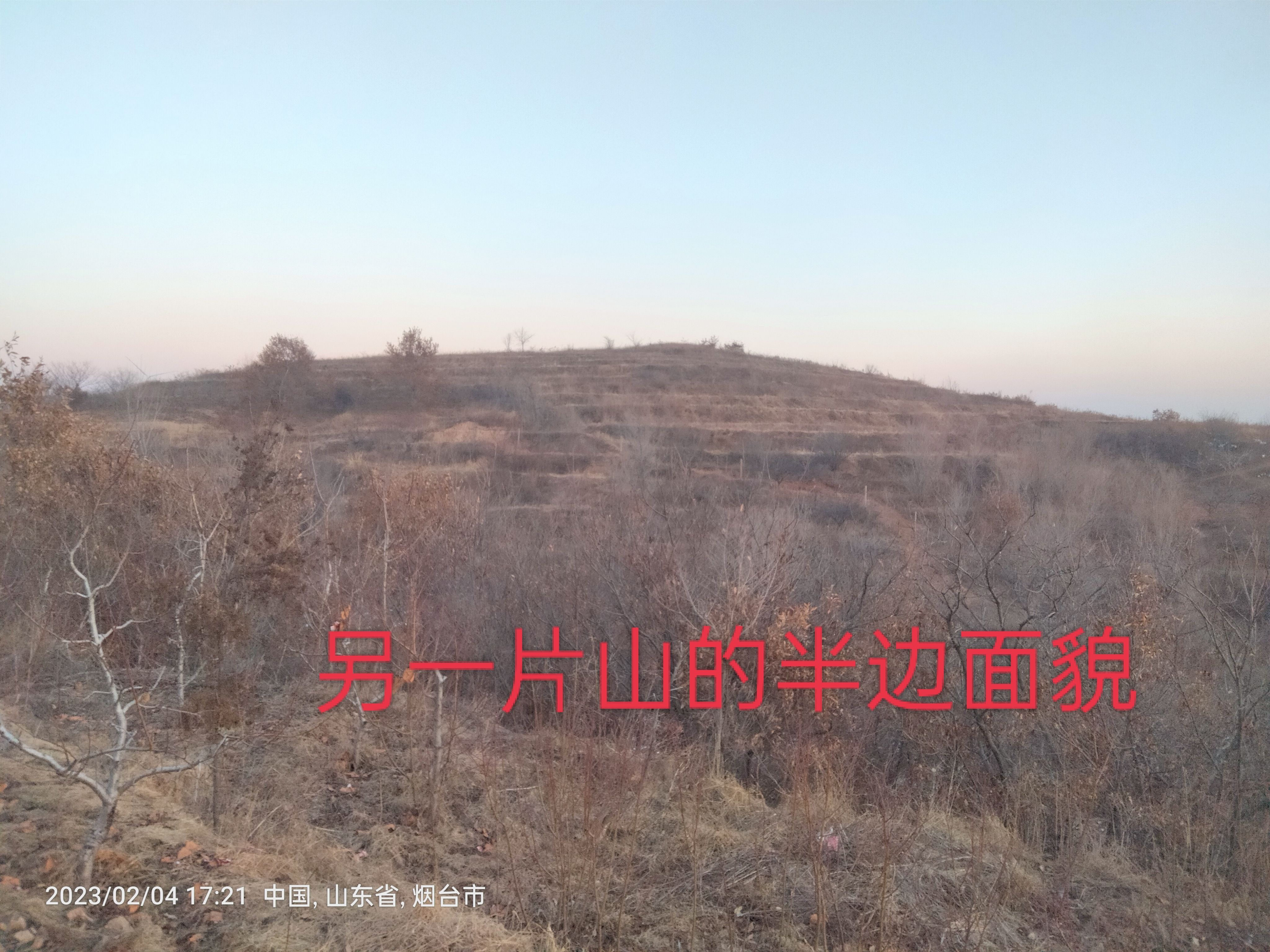 果园转让40亩山地，有胜果期桃树几千颗，还可以搞养殖