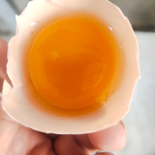 深州市玉米黄精品粉蛋