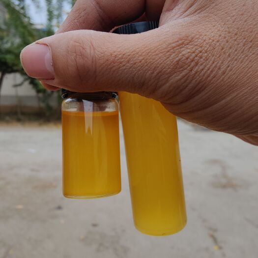 兰陵县蒜油批发