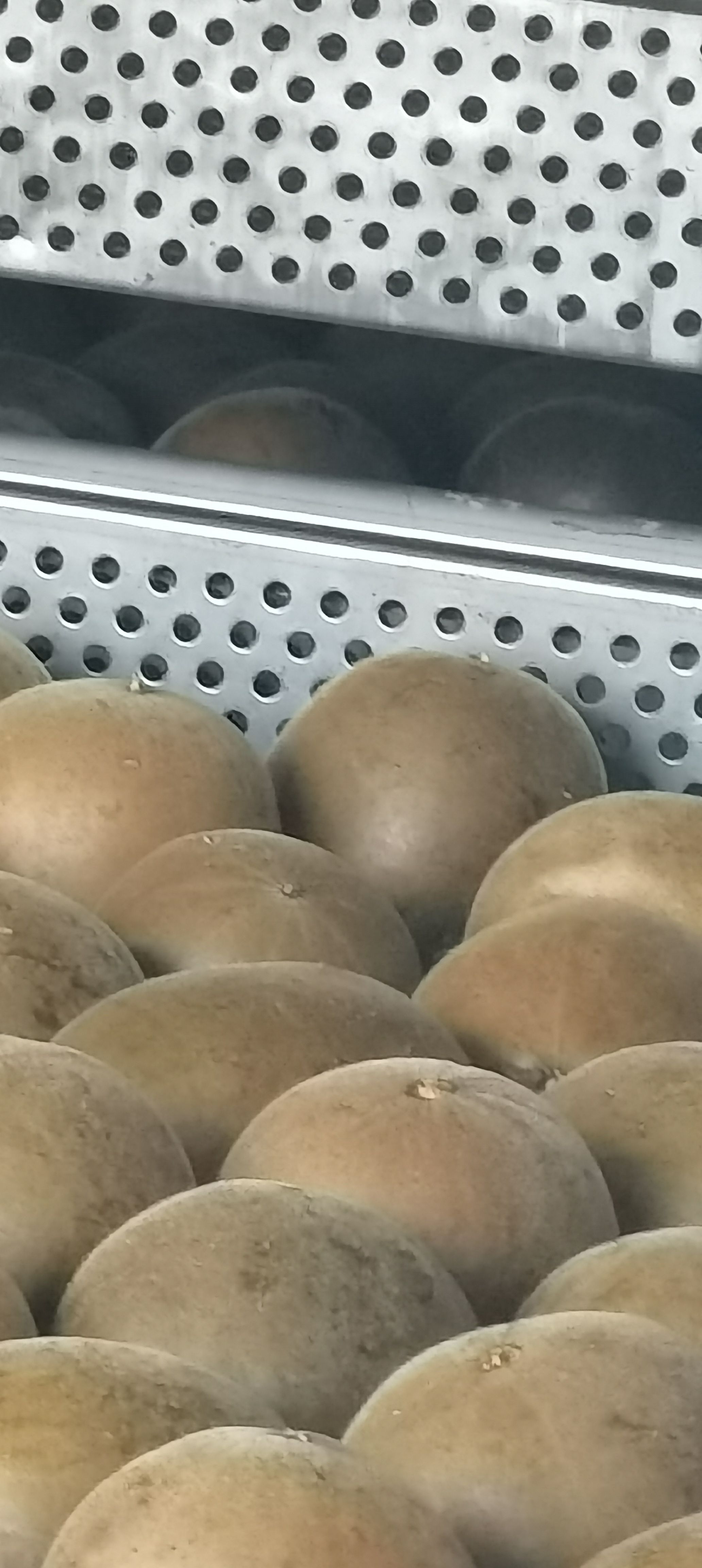 罗汉果干果