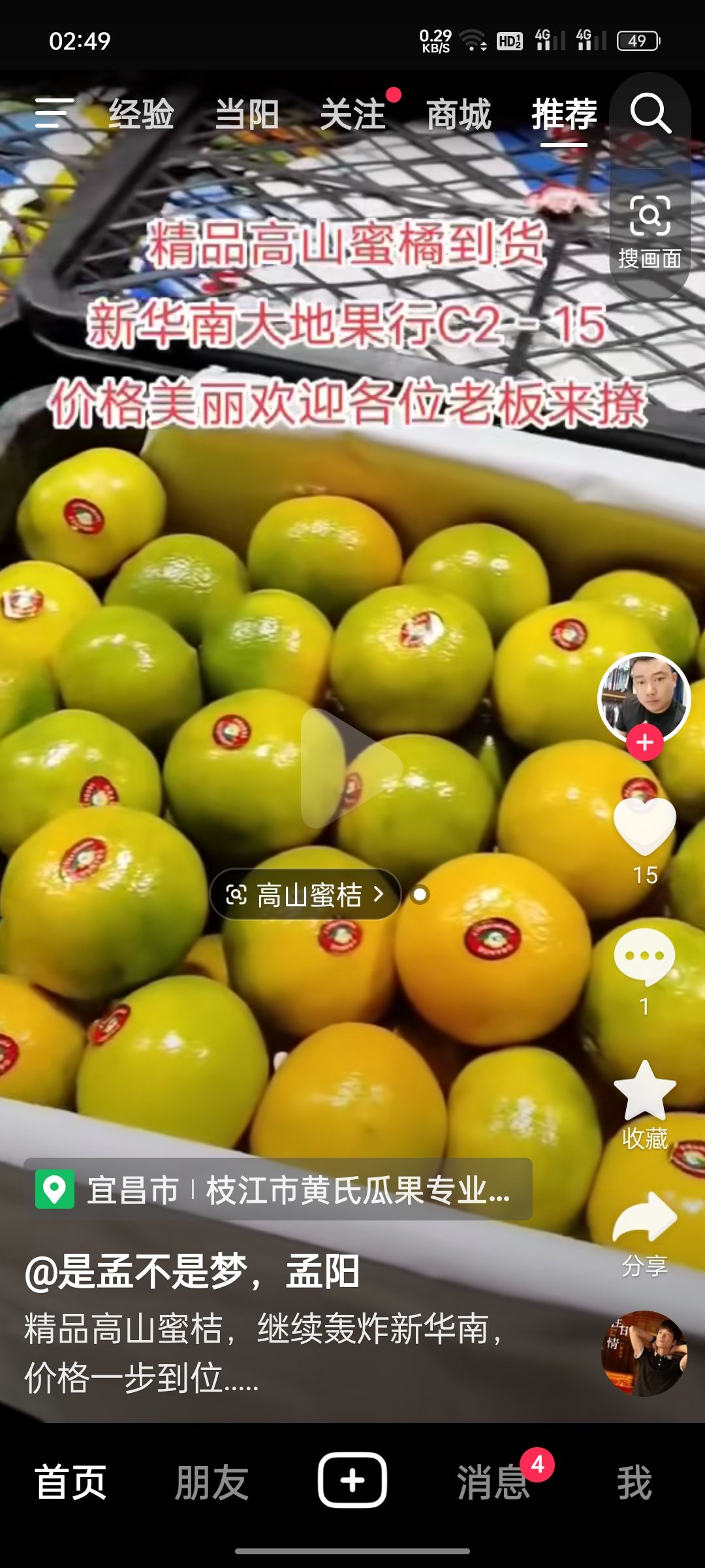 蜜桔