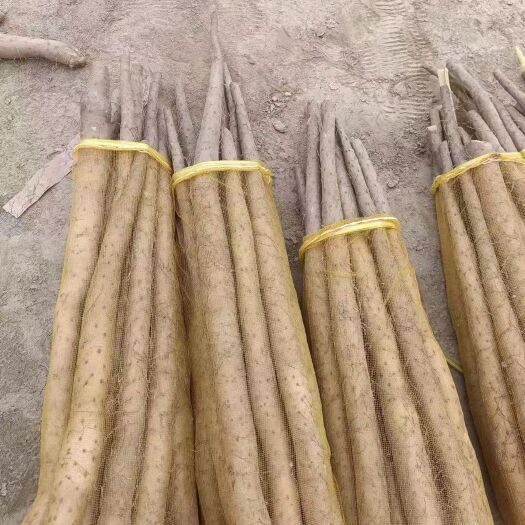 莘县一分价钱一分货质量保证
