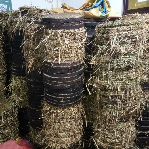 和平县大量供应茶枯（茶麸）