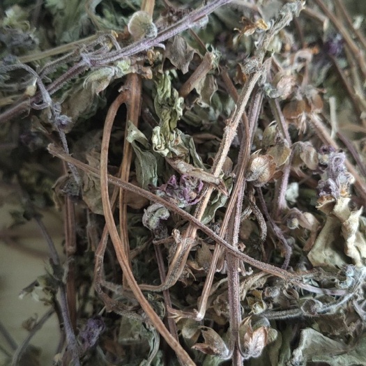 药食两用罗勒叶，当年新品，无杂质，含量较高