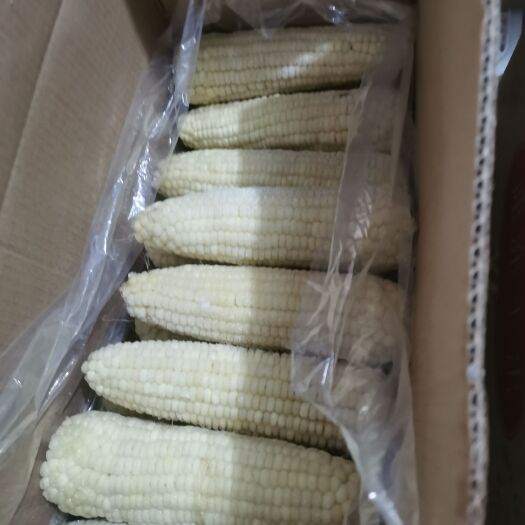 依安县依然香食品加工厂欢迎您速冻糯玉米白玉米黄玉米两种
