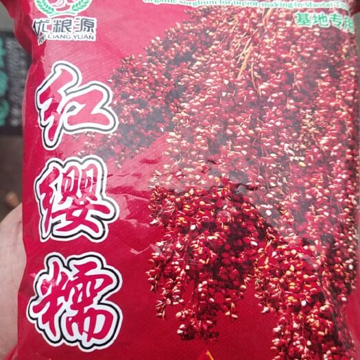 仪陇县红樱子高粱出售