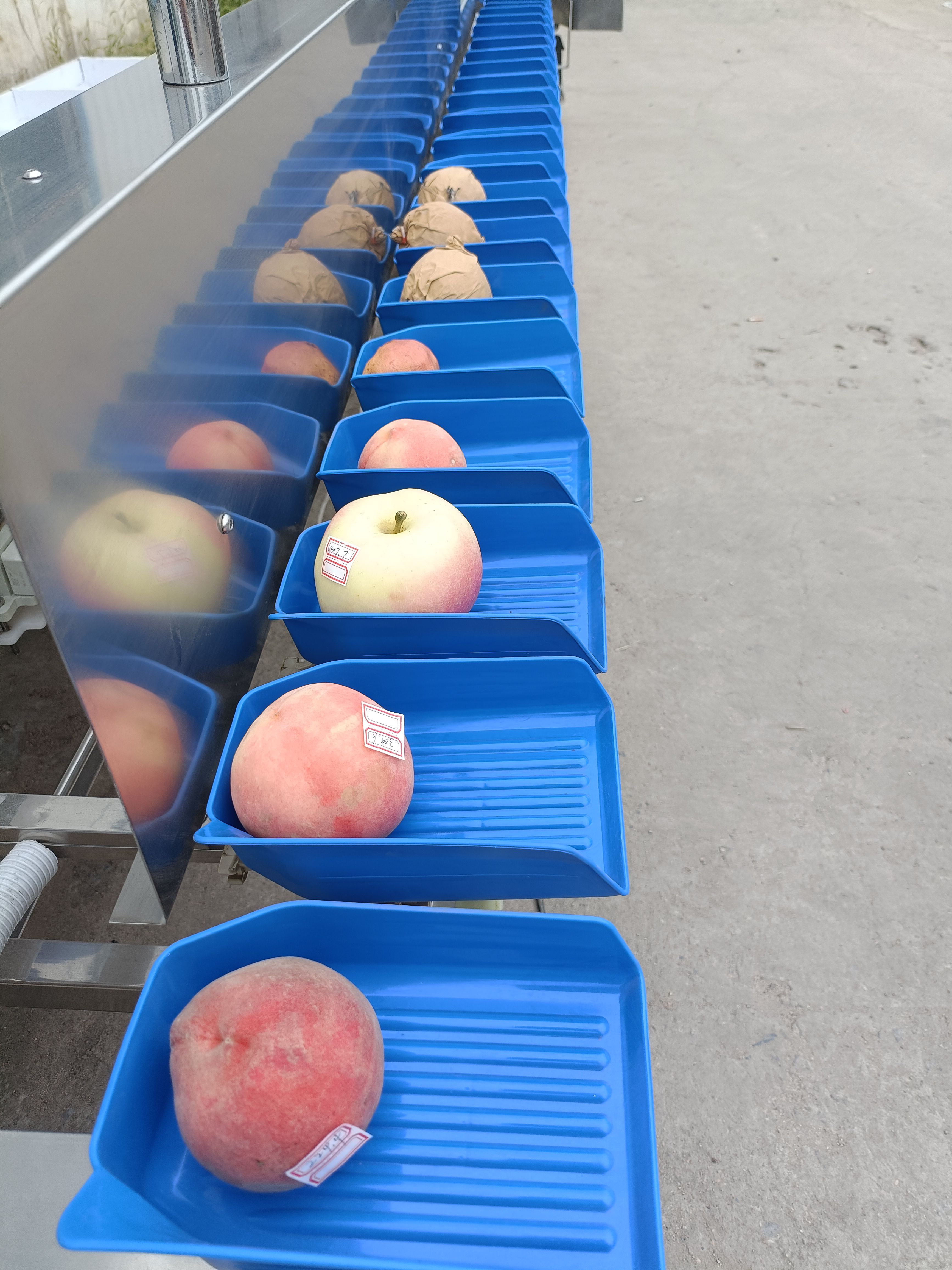 自动选果机 水果重量分级机 定制水果清洗分选包装流水线