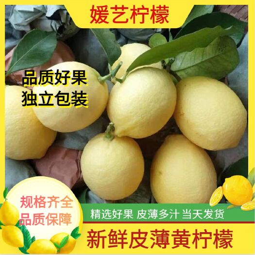 安岳县尤力克柠檬  安岳黄柠檬大果，薄皮多汁，请各位老板放心购买！