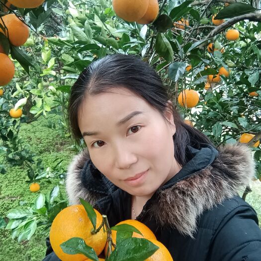麻阳县冰糖橙