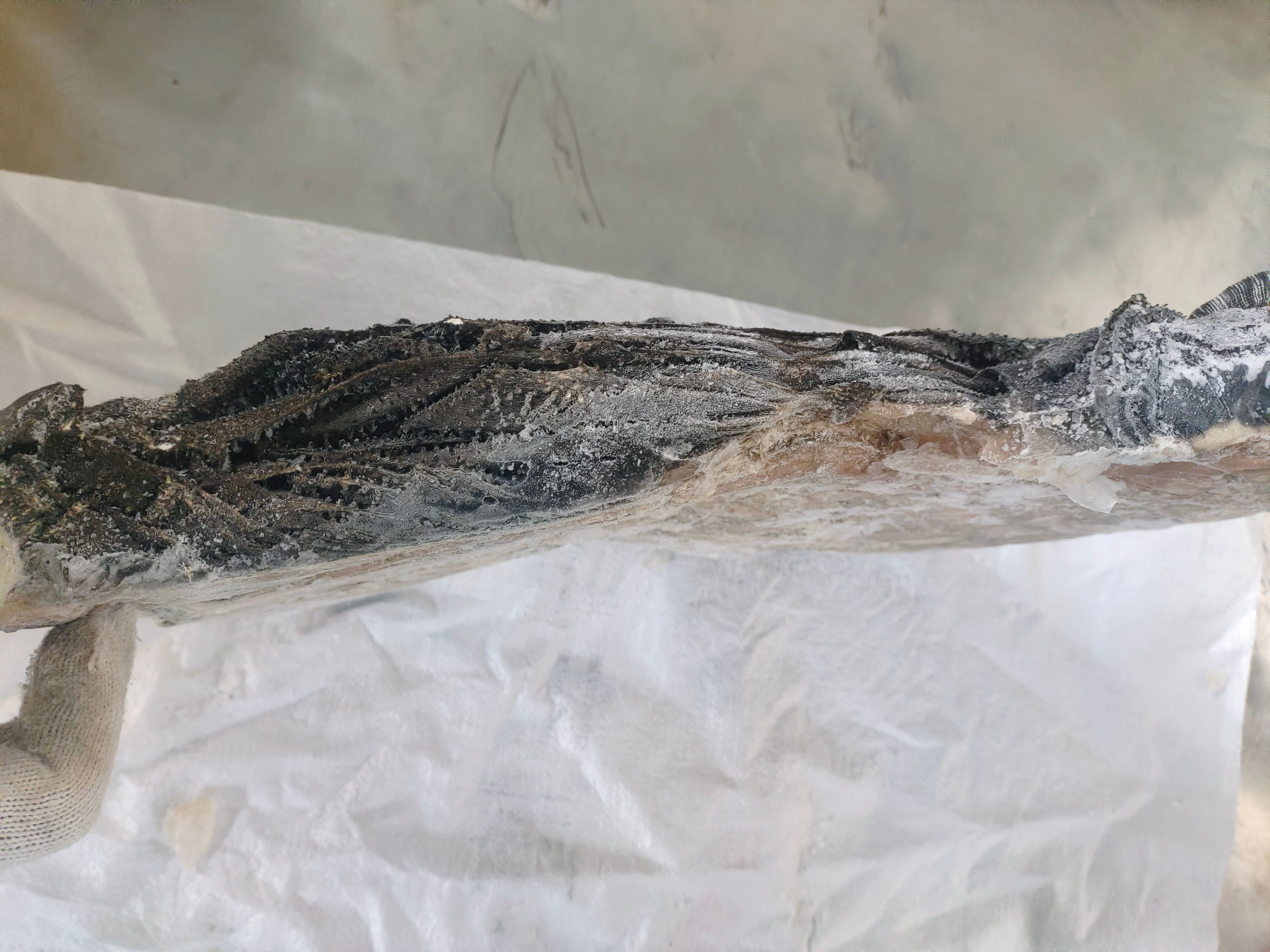 牛百叶  纯干   去油