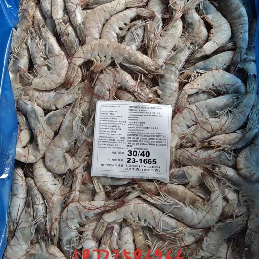 帆船赛大板30-40