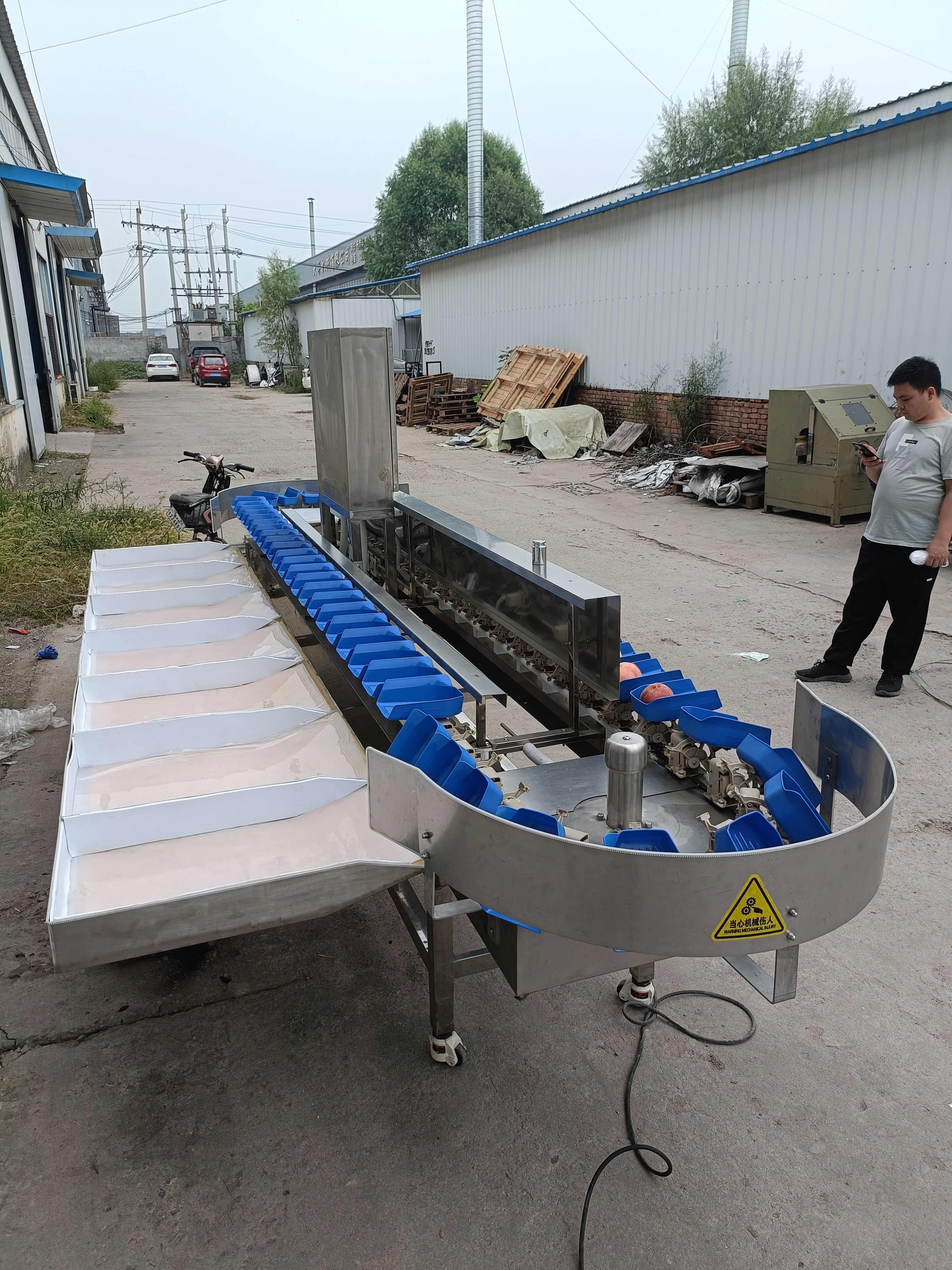 自动选果机 水果重量分级机 定制水果清洗分选包装流水线