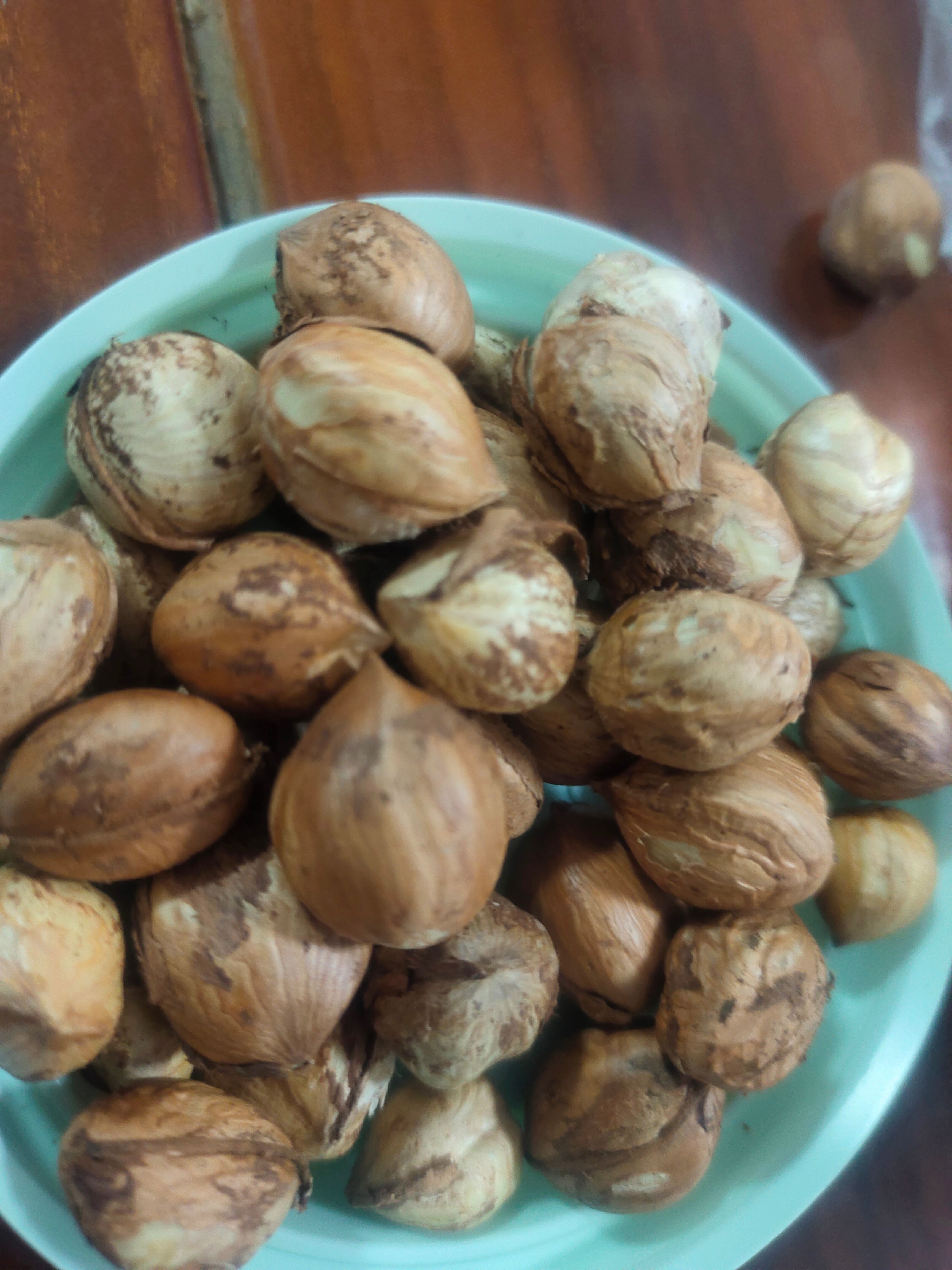 3年5年榛子苗，栽上就结果子