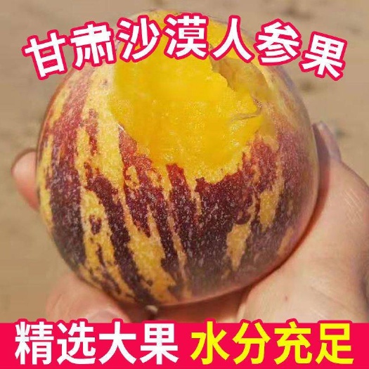 民勤县甘肃沙漠人生果