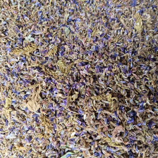 衡阳县碣花，生长草丛之中，现在正在热卖之中，欢迎各位所需要的大佬，