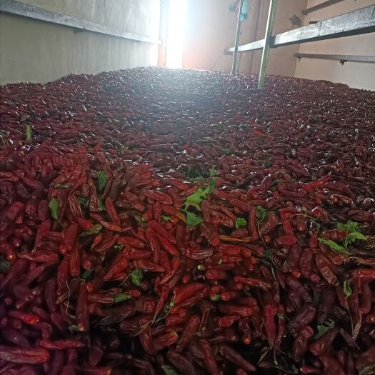 襄城县三英干辣椒