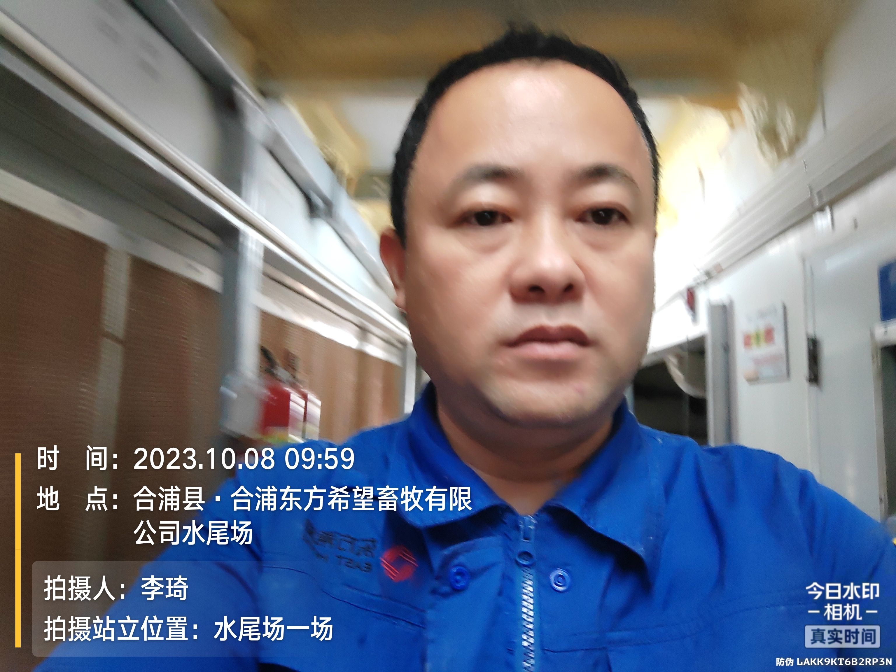 大量黄骨鱼