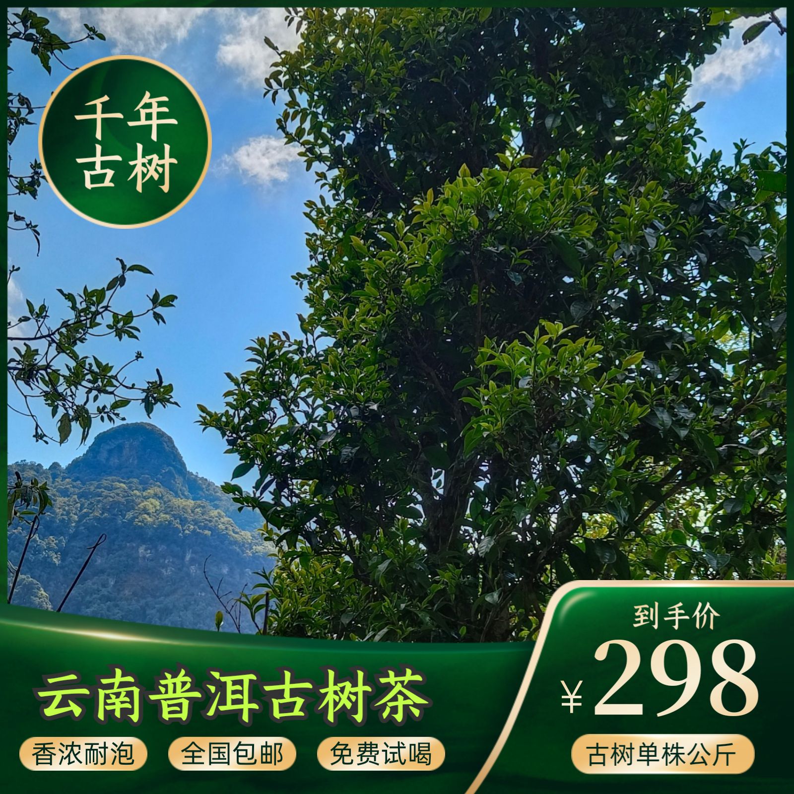 高山野 生绿茶 古树茶 散装 生茶