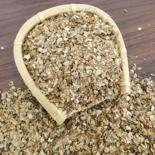 昆明【当归种子】新种子当归苗当年新货