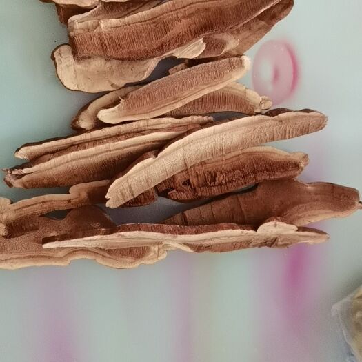 冠县灵芝切丝