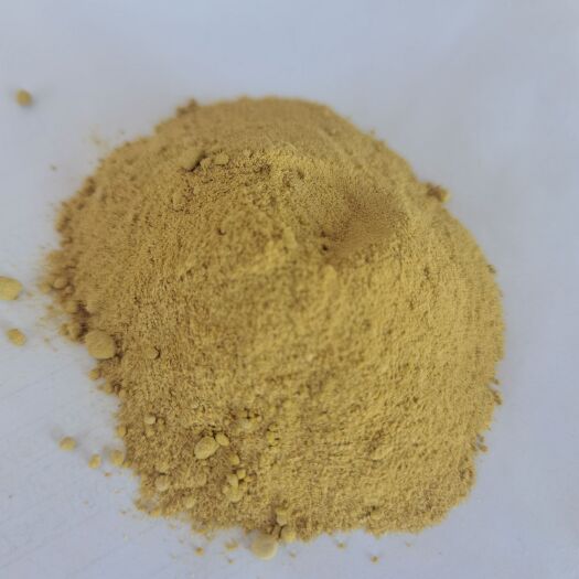 石家庄菌体蛋白 蛋白可定制