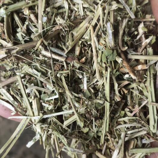 大名县花生秧