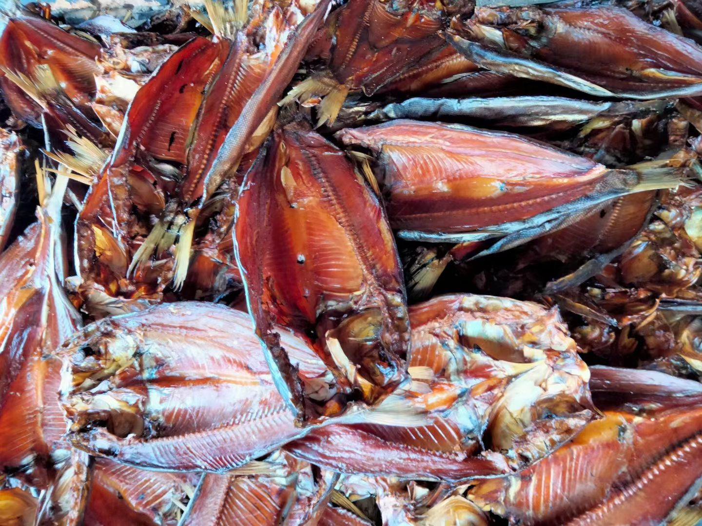 生態(tài)臘鰱魚 風(fēng)干魚 臘鰱魚塊 整只 特產(chǎn)