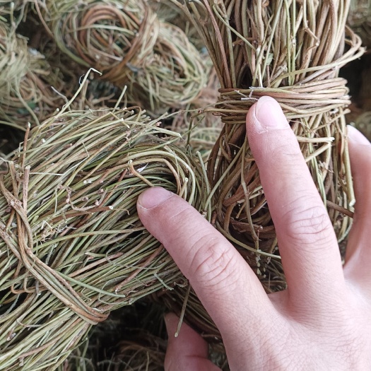 玉林新干鸡骨草，无硫，扎把，切段，叶子