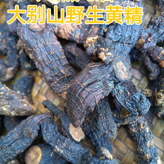 霍山县九制黄精