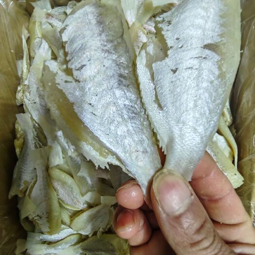 北海淡香低盐小目鱼鱼香浓郁剥皮鱼干目鱼干去头大眼鸡