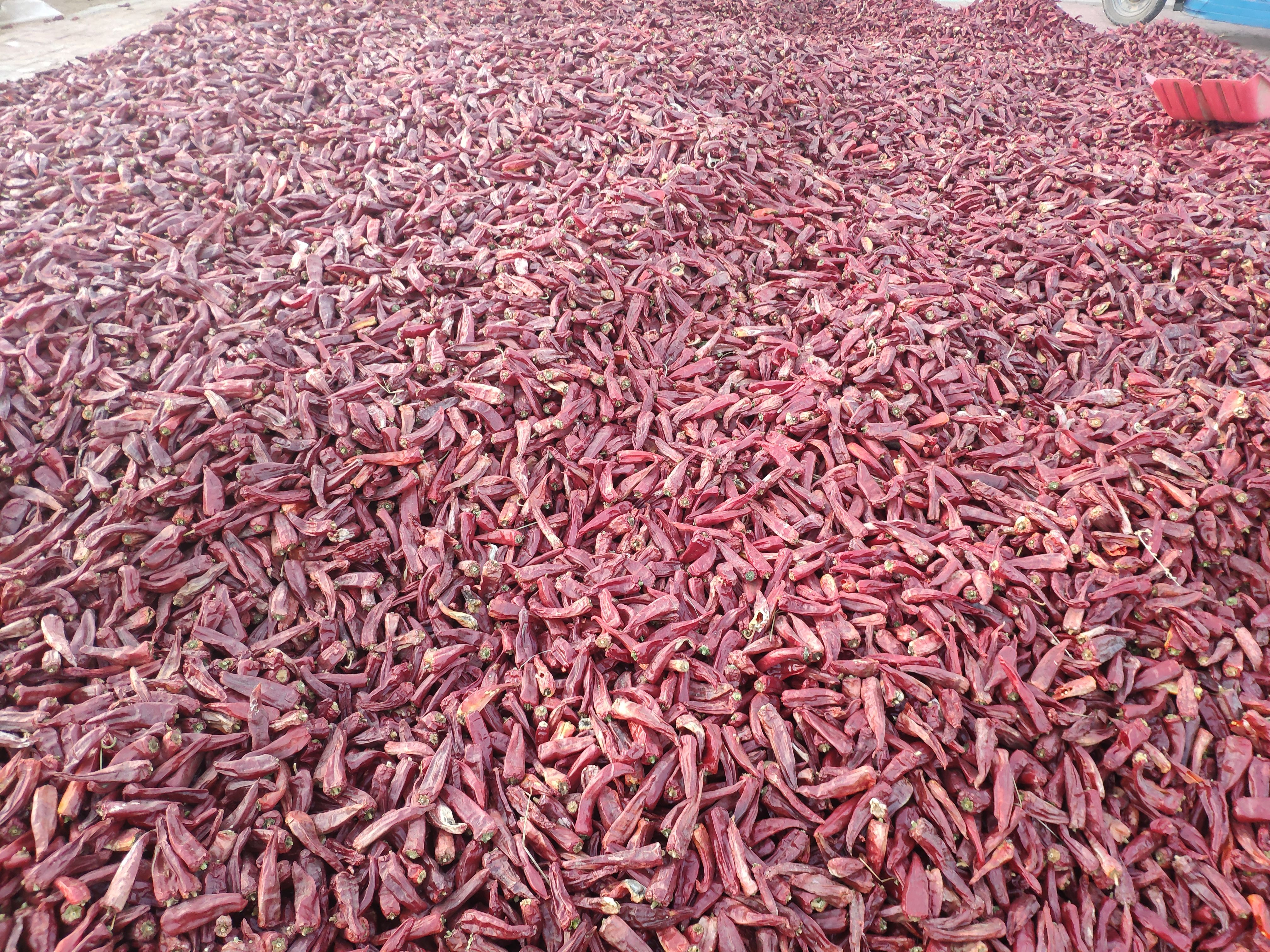 北京红，香而不辣