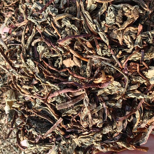 丰县蒲公英茶发酵蒲公英红茶