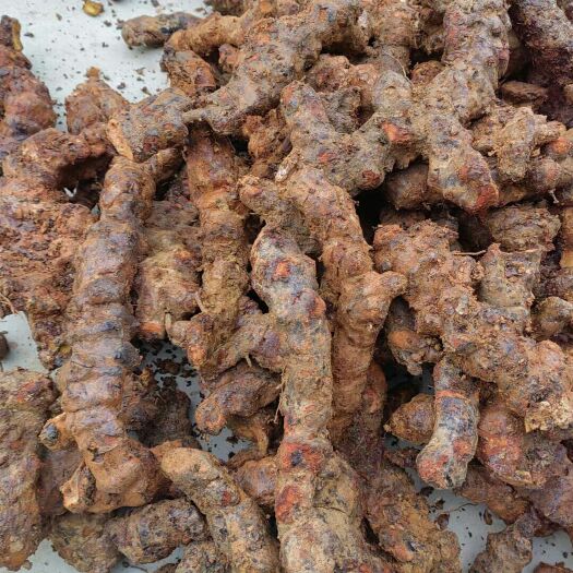 普宁市药材土茯苓，新鲜，补品，煲鸡煲肉，煲龙骨汤，甜甜蜜蜜我爱