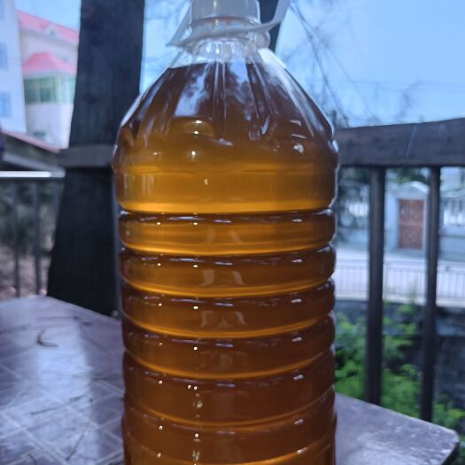 莆田农家自榨纯正茶籽油