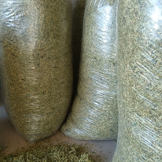 积石山县金银花根