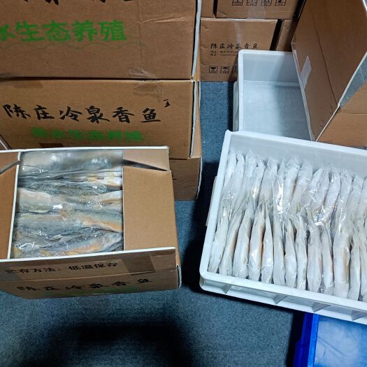 南京香鱼