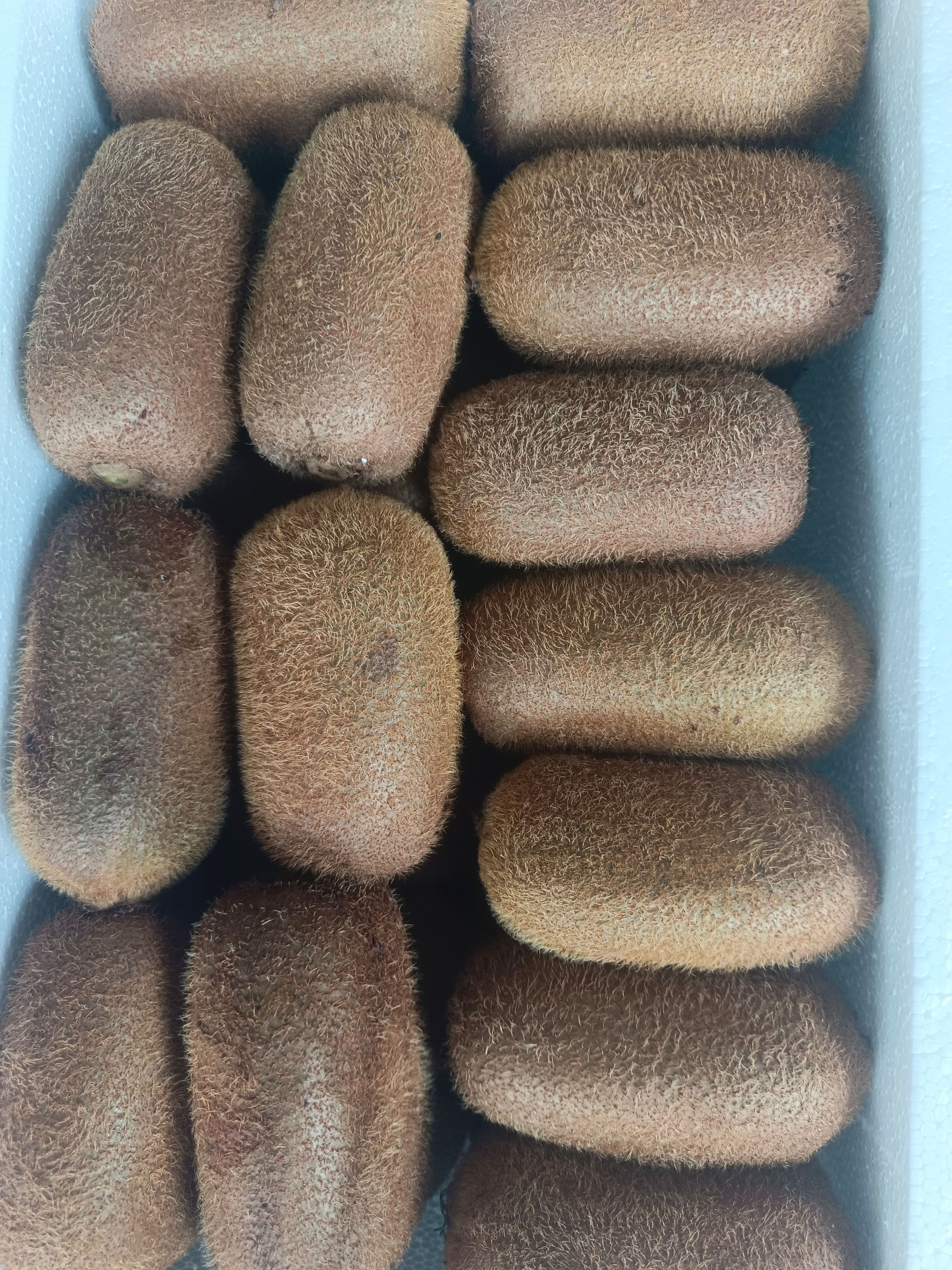 蔺州绿肉东新猕猴桃！味道香甜，