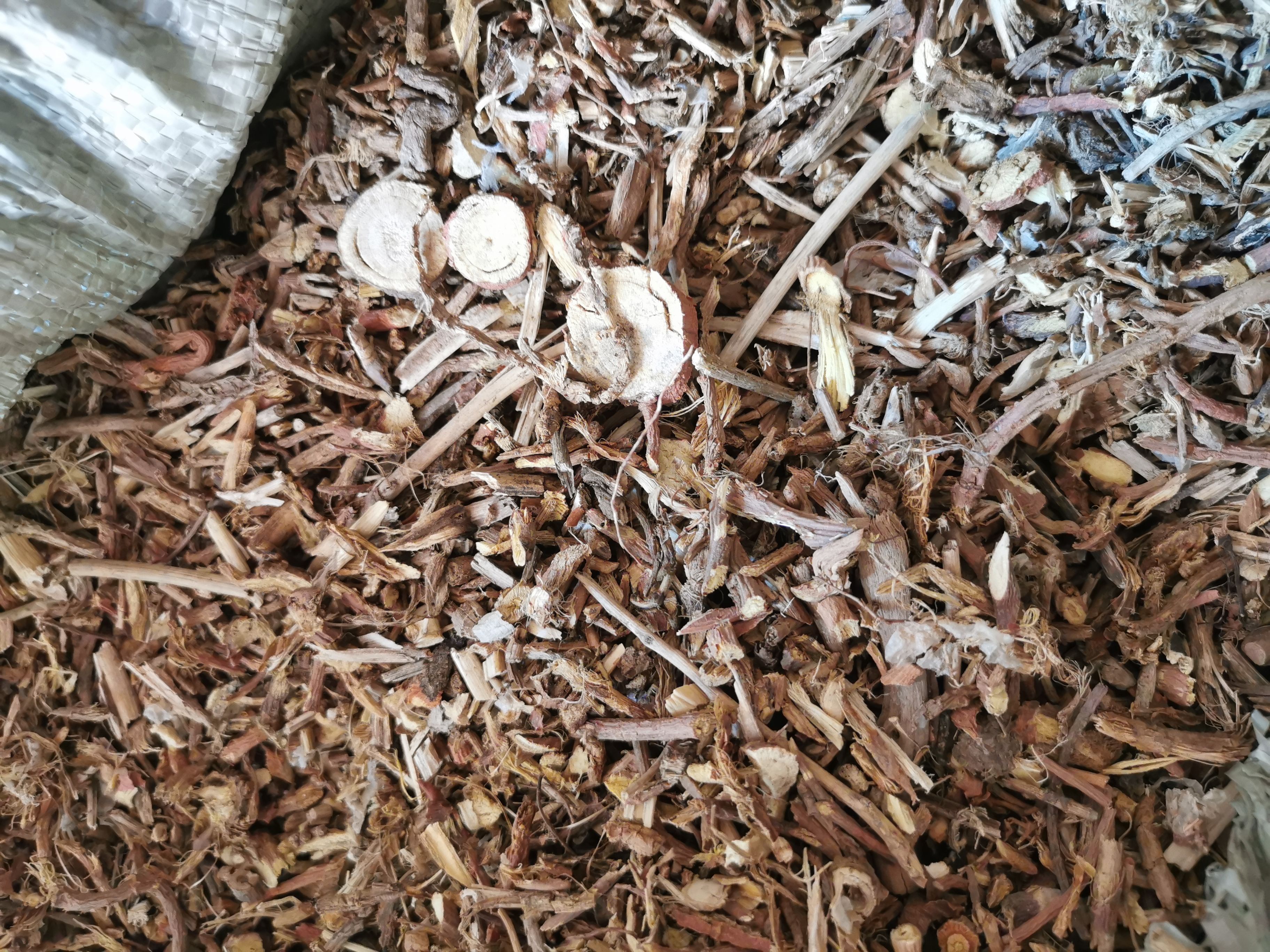 乌拉尔红甘草尾节