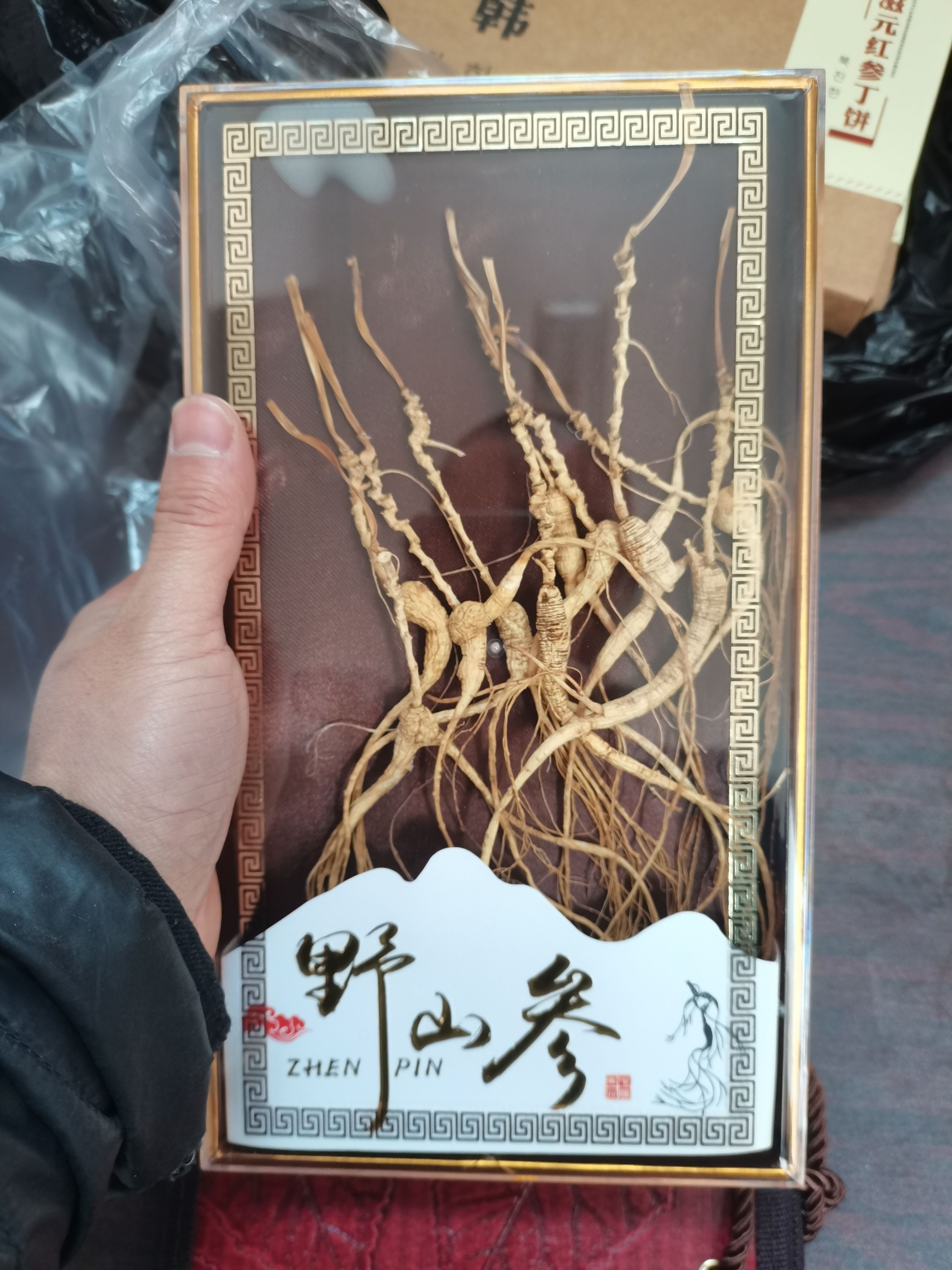 长白山林下参，籽货，产地直销，可泡酒，煲汤，泡水，无药物残留