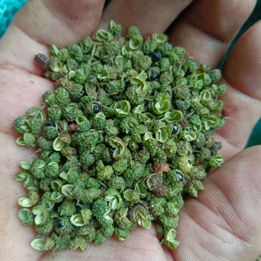 长沙金阳青花椒