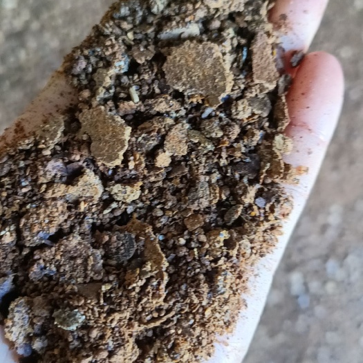 上饶菜籽饼肥