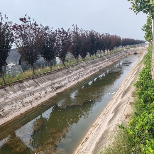 大荔县钢架大棚土地