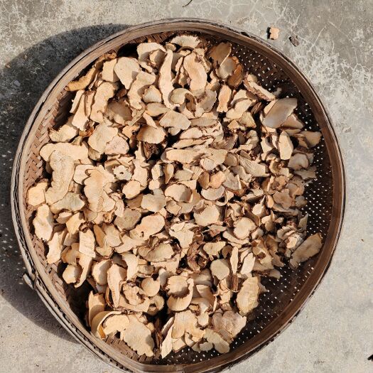 钟山县广西白肉土茯苓