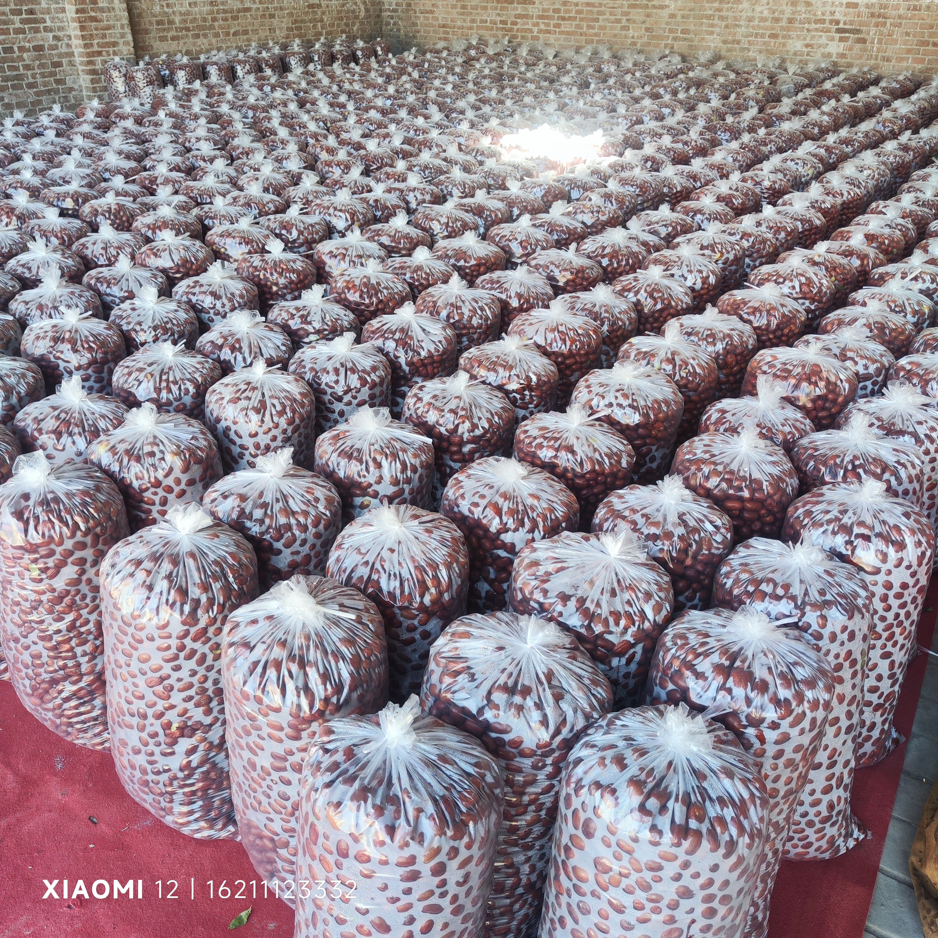 罐头厂专用枣，八宝粥厂用枣，特产店专用