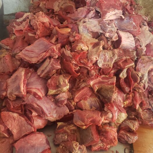 哈尔滨国产纯干牛碎肉，量大价格可谈。