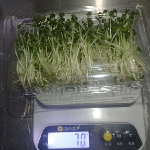新民市纯绿色有机蔬菜