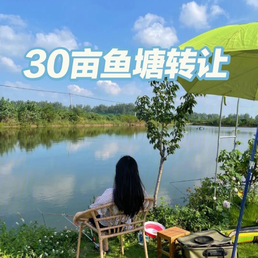 仪陇县鱼塘转让